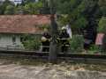 IMG-20230902-WA0003